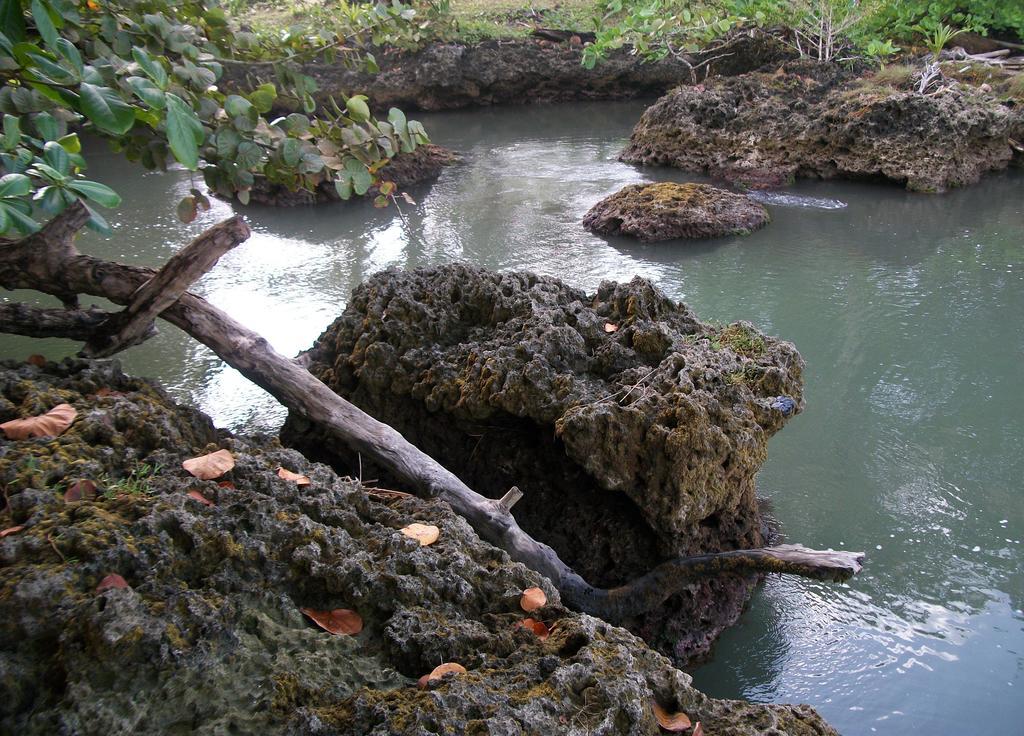 Piscina Natural On The Sea Cahuita Buitenkant foto