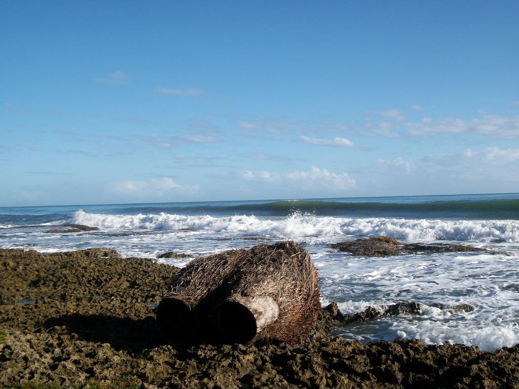 Piscina Natural On The Sea Cahuita Buitenkant foto