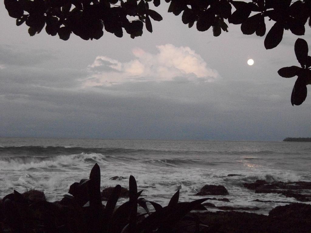 Piscina Natural On The Sea Cahuita Buitenkant foto