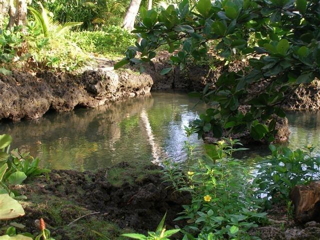 Piscina Natural On The Sea Cahuita Buitenkant foto