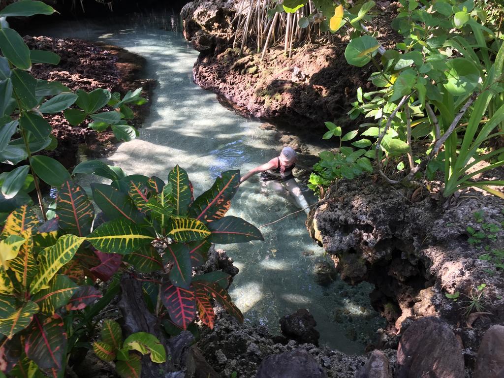 Piscina Natural On The Sea Cahuita Buitenkant foto