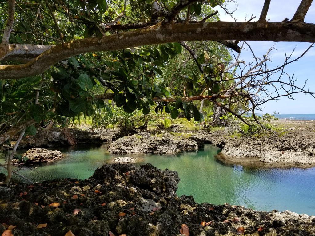 Piscina Natural On The Sea Cahuita Buitenkant foto