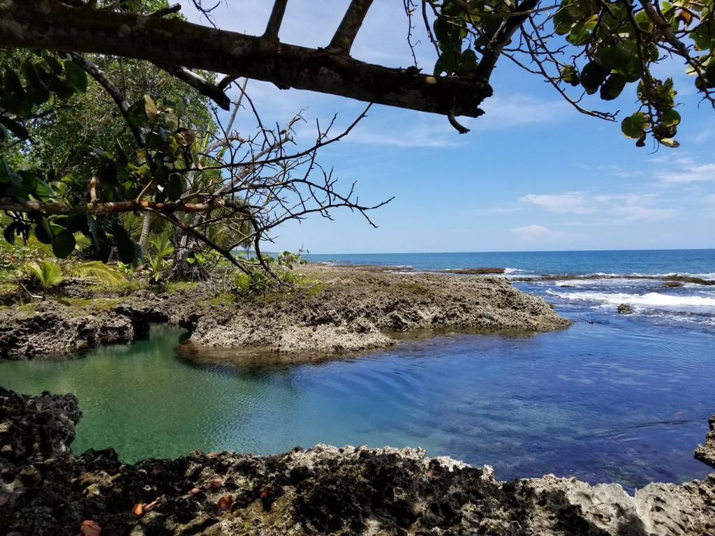 Piscina Natural On The Sea Cahuita Buitenkant foto
