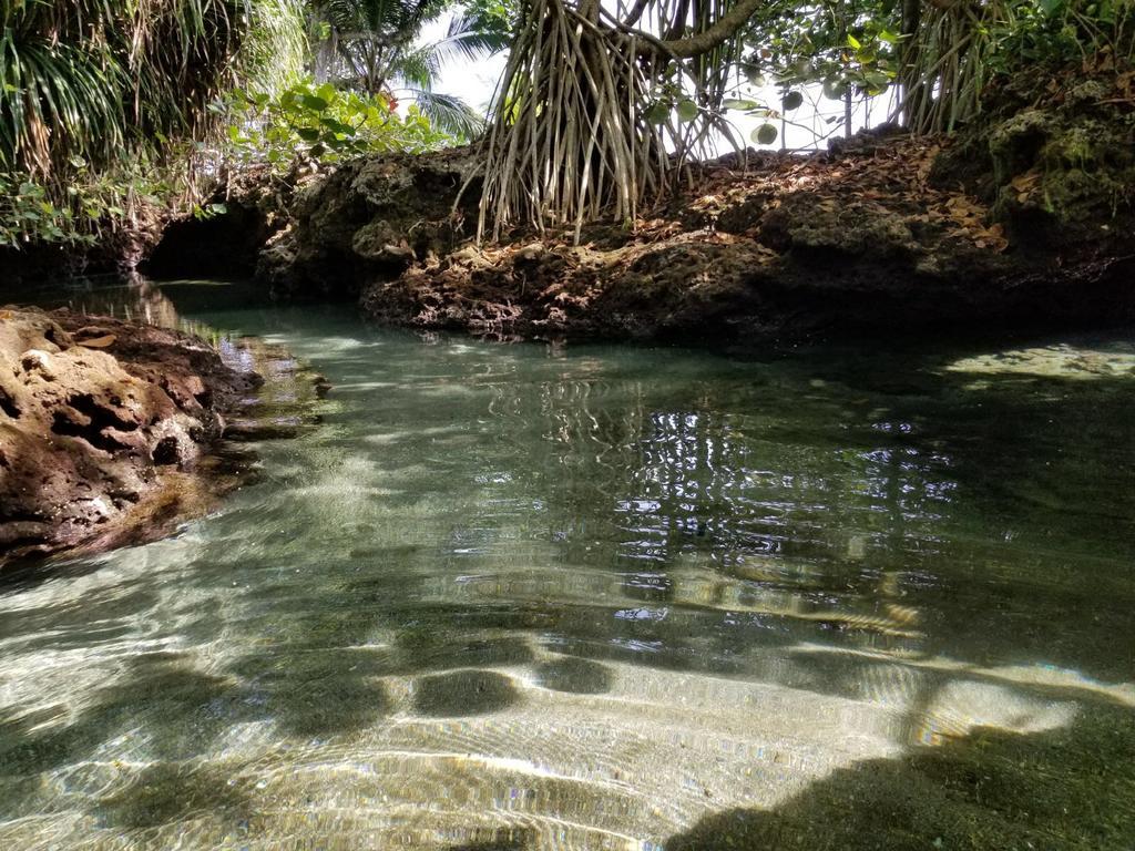 Piscina Natural On The Sea Cahuita Buitenkant foto