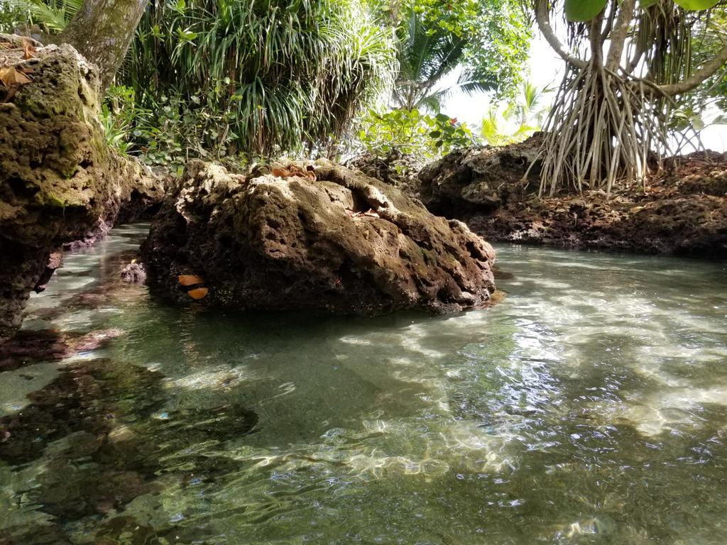 Piscina Natural On The Sea Cahuita Buitenkant foto